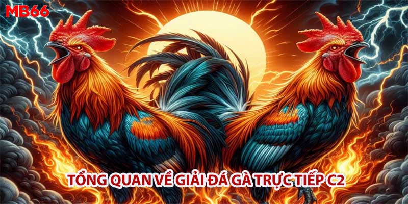 Tổng quan về giải đá gà trực tiếp C2