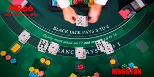Blackjack MB66