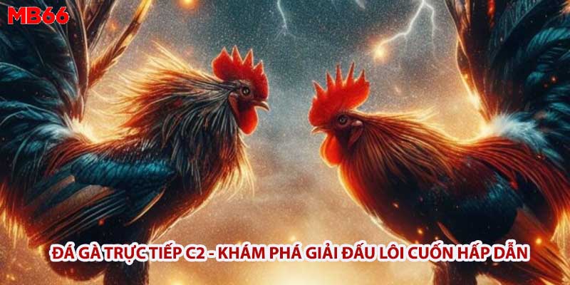 Đá gà trực tiếp C2